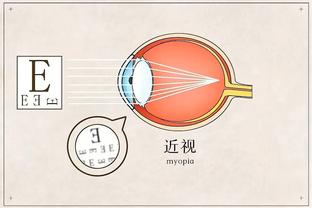 半岛足球体育截图0